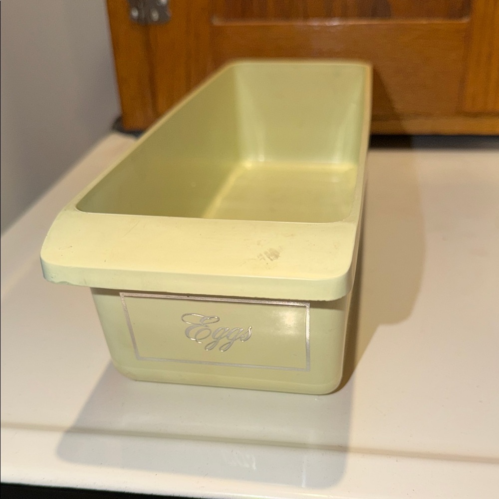 Vintage Egg Storage Container